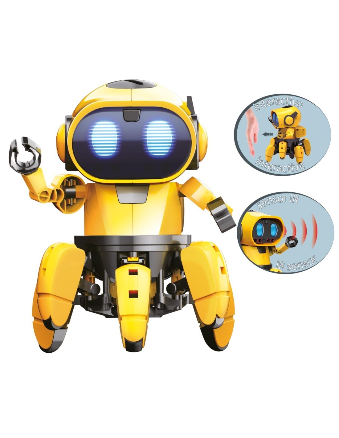 Robot